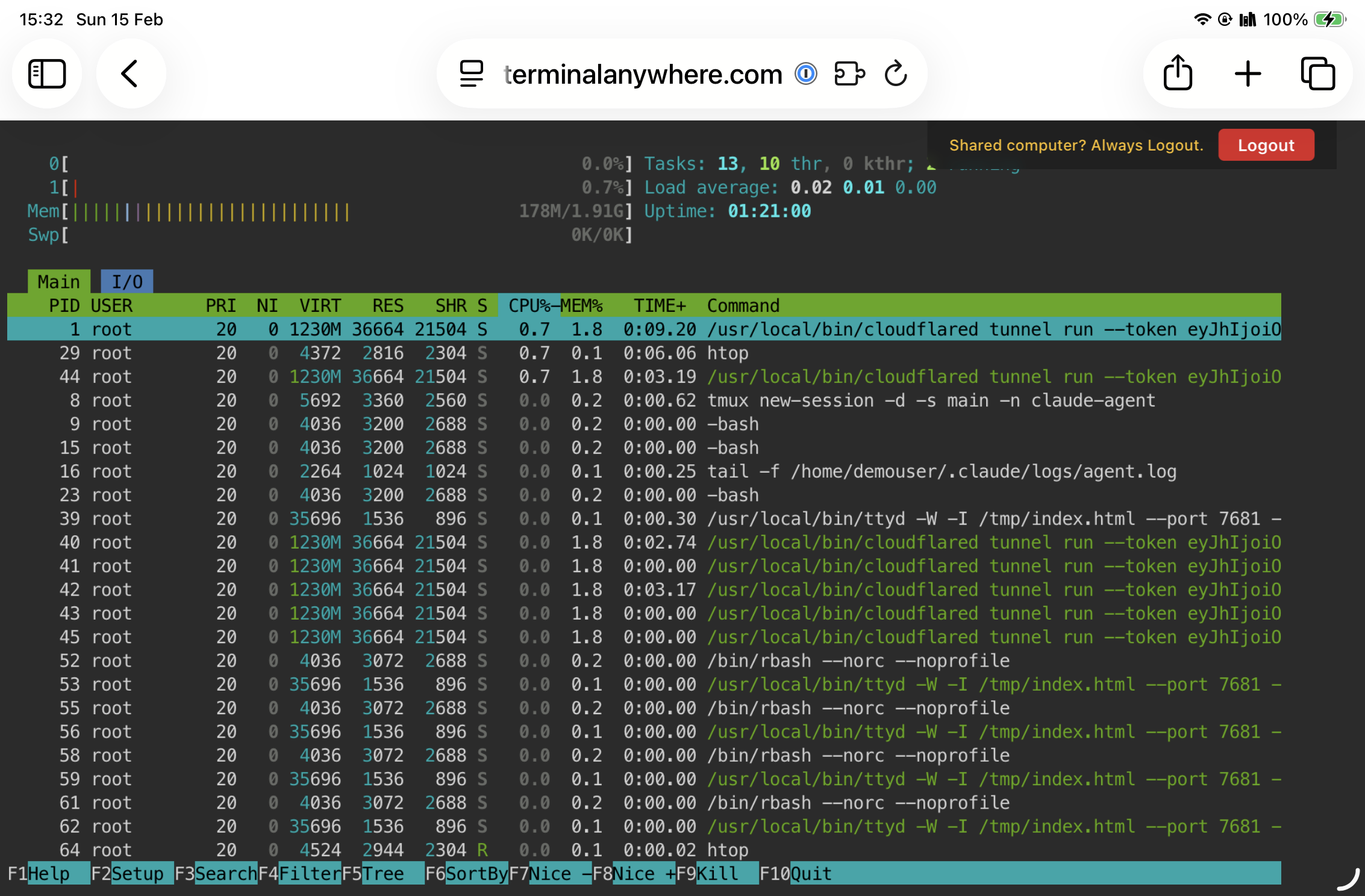 Monitoring AI agent processes with htop on an iPad Mini via Terminal Anywhere